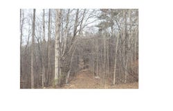 Tbd Mount View Drive, Pelham, NC 27311