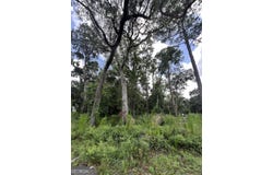 511 Borrell, St. Marys, GA 31558