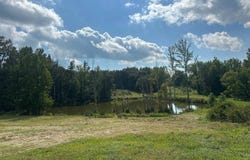 550 Clay County Road, Piggott, AR 72454