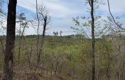 County Road 94, Grenada, MS 38901