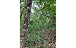 0 Co rd 10, Montevallo, AL 35115