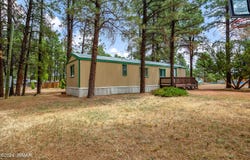 2175 Ruby Lane, Overgaard, AZ 85933