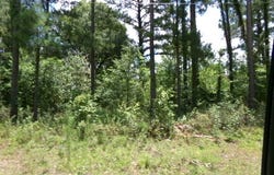 7647 Oscar Circle, Donalsonville, GA 39845