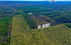 4206 HWY 298, Jessieville, AR 71949