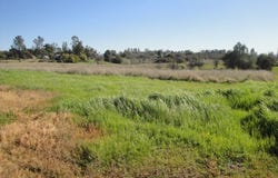 129 Misty View Way, Oroville, CA 95966