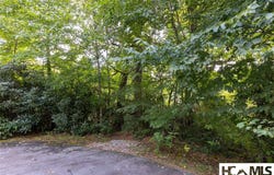 231R Pine Forest Court lot: 231-R, Sapphire, NC 28774