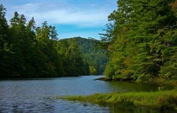 600 Berry Patch Road, MURPHY, NC 28906