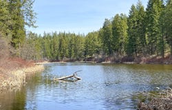 NKA APEX RD, INCHELIUM, WA 99138