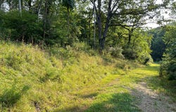 53 TUPELO, SPRINGFIELD, WV 26763