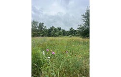 Lot 442 E Pauwela LN, Bastrop, TX 78602