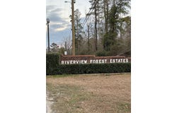0 S Lakeview Dr, Abbeville, AL 36310