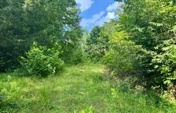 1351  Poca Road, Looneyville25, WV 25259