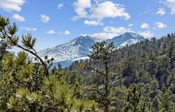 140 Loveland Heights Ln, Drake, CO 80515
