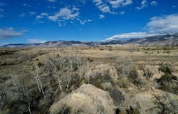 Beaver Creek Rd, Shell, WY 82441