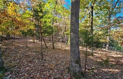 Lot #1387 Via Bella Vista Court, Sunrise Beach, MO 65079
