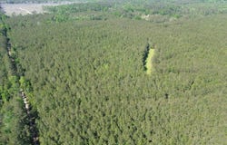 0 Oceola Rd, Folsom, LA 70446