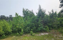398 Dogwood Trail, Lumber Bridge, NC 28371