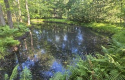 10 acres E Free Soil Road, Free Soil, MI 49411