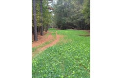 00 Old Plain Dealing Road, Benton, LA 71006
