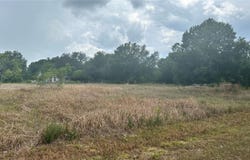 2915 W LANETT ROAD, AVON PARK, FL 33825