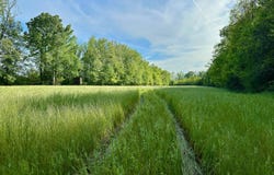 0 PACE LANDING ROAD, Coatopa, AL 35470