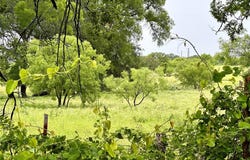 Tbd 13 FM 1029, Goldthwaite, TX 76844