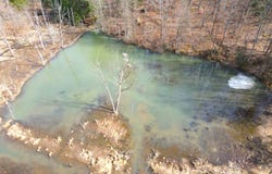 VL Bone Run Rd (Off), South Valley, NY 14738