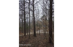 1 Hillcrest Ln, Cub Run, KY 42729