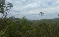 Lot 8 Hickory Pointe Lane, Maynardville, TN 37807