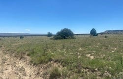 Longhorn Ranch, Model, CO 81059