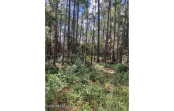 4515 MAHOGANY Boulevard, Bunnell, FL 32110