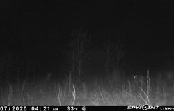 Martin Creek, Williford, AR 72482