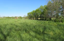 1185 Craig Crossing Road, Winchester, KY 40391