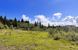 44 MOONLIGHT DR, CURLEW, WA 99118