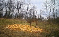 Setty Rd, Albany, OH 45710