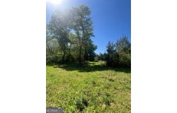 1405 Jones Mill Road, Woodbury, GA 30293