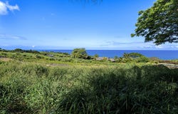 81-6624 HIAAIONO PL, Kealakekua, HI 96750