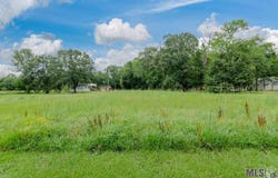 10451 John Savoy Rd, St Amant, LA 70774