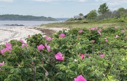 21 Beach Avenue, Long Island, ME 04050
