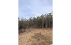 245 HIGHWAY 183, LAWLEY, AL 36793