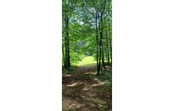 Collier Avenue, Battle Creek, MI 49017