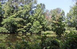 Lot A Camp Creek Drive, Lancaster, SC 29720