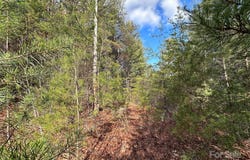 Conroy Court unit: 85, Collettsville, NC 28611