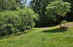 466 Beard Road, Hillsborough, NH 03244