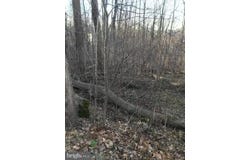NORTHERN SPY DRIVE, LINDEN, VA 22642