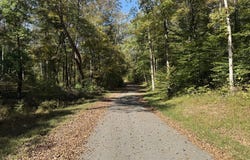 Tract #5 Johnnie Rd, INDIAN MOUND, TN 37079