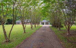 1275 Maben Starkville Road, Maben, MS 39750