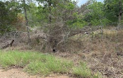 Lot 54 Rick RD, La Grange, TX 78945
