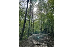 9543 Cream Ridge Road, Rushford, NY 14777