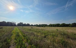 0 Willow Road, Bennington, IN 47011